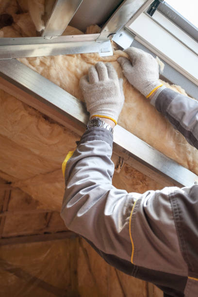 Best Insulation Maintenance and Repair in Morehead, KY